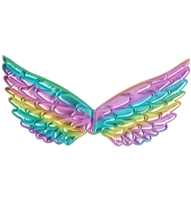 Vleugels regenboog 43x22 cm