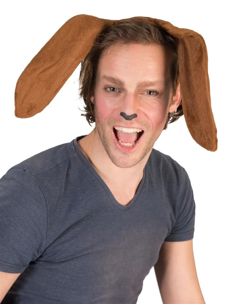 Diadeem oren hond bruin