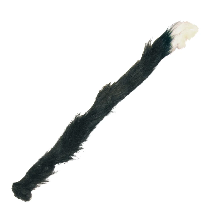 Nep zwarte kattenstaart met wit puntje