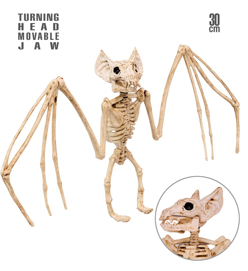 Vleermuis skelet