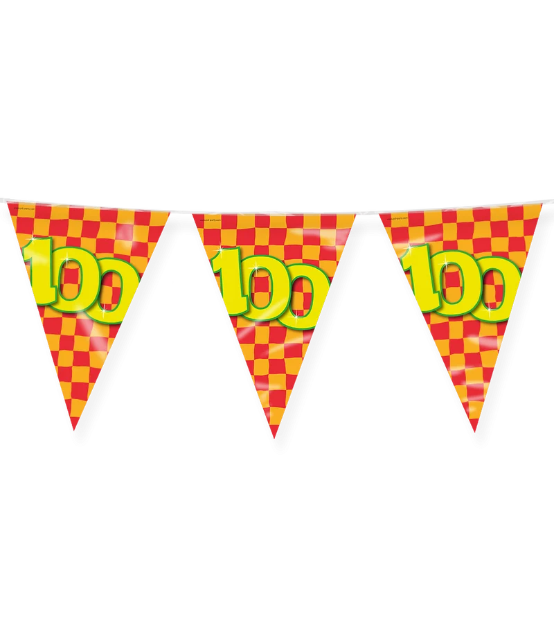 Happy Verjaardag Vlaggenlijn 100 Jaar (10m)