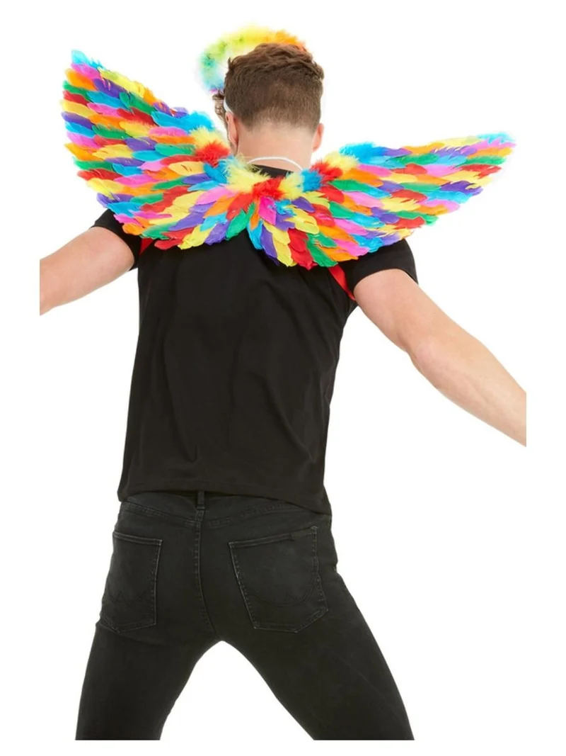 Regenboog Vleugels Met Veren