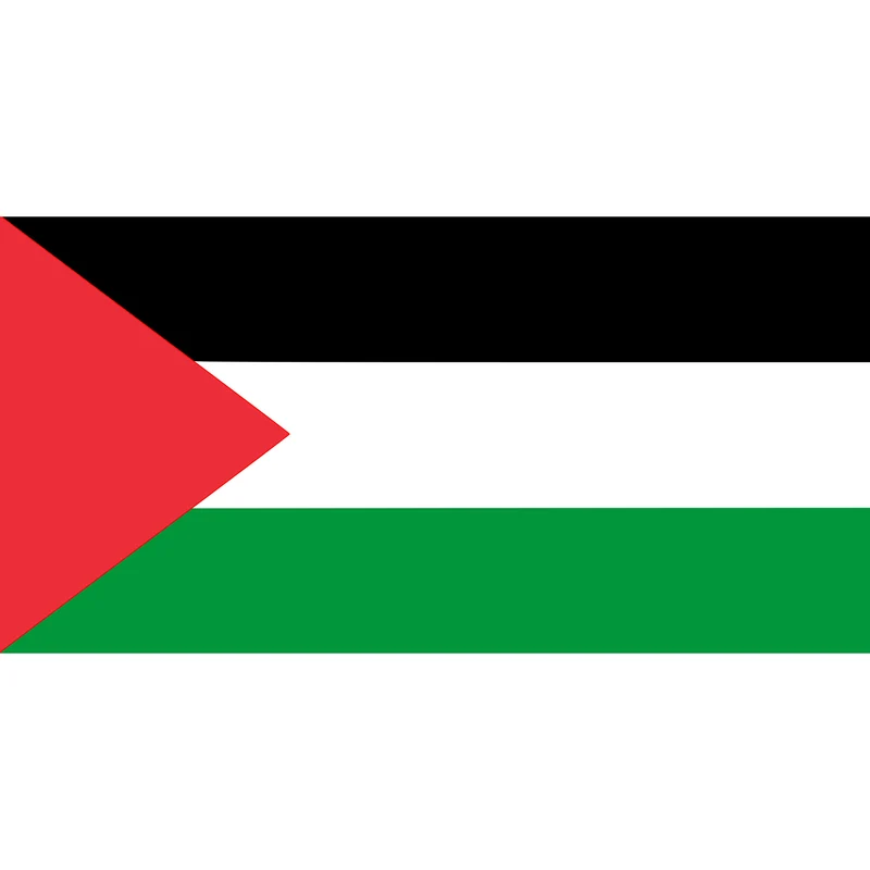 Vlag Palestina 90x150cm