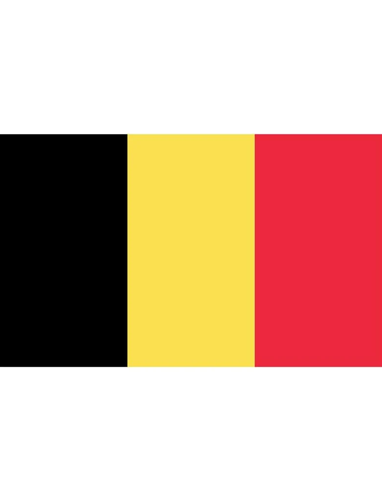 Vlag 150x300cm België