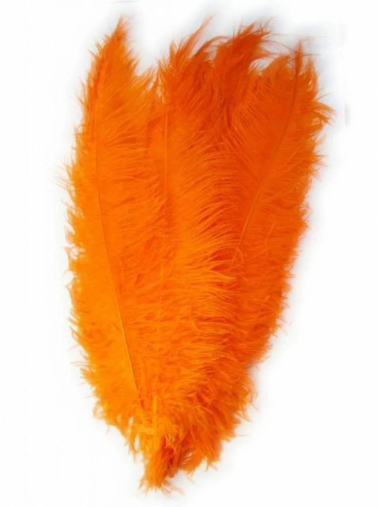 Spadonische veer oranje per stuk