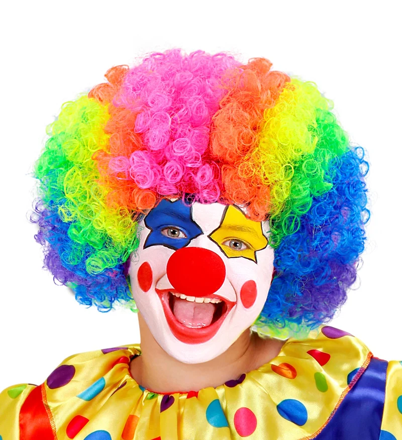Pruik Clown Multikleuren