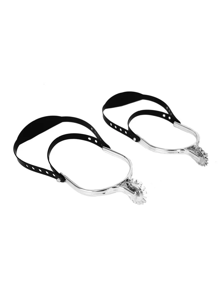 Ruiter sporen zilver