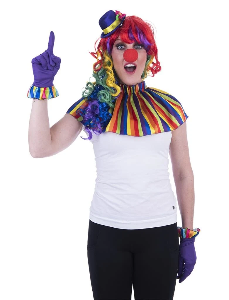 Clown verkleed set regenboog 5-dlg