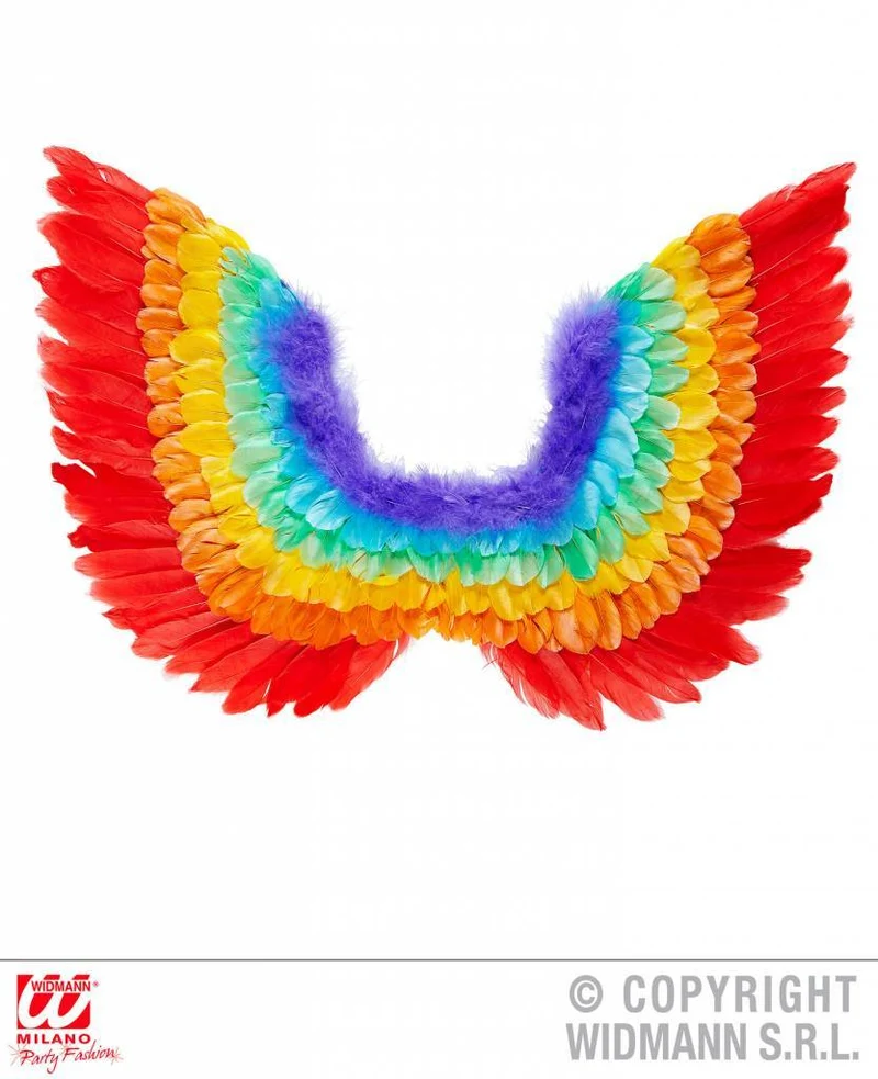 Veren vleugels regenboog 60cm