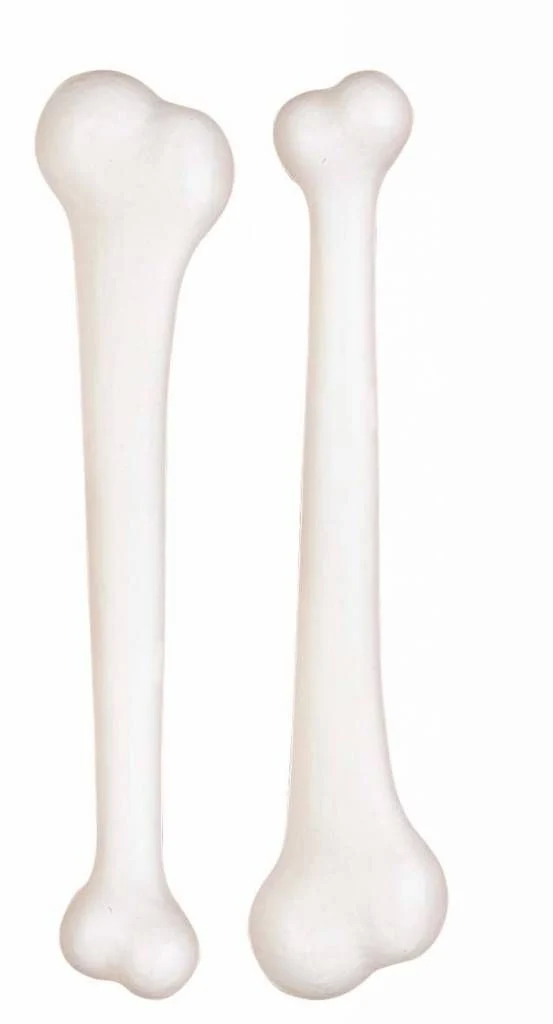 Botten jungle safari 23cm 2 stuks