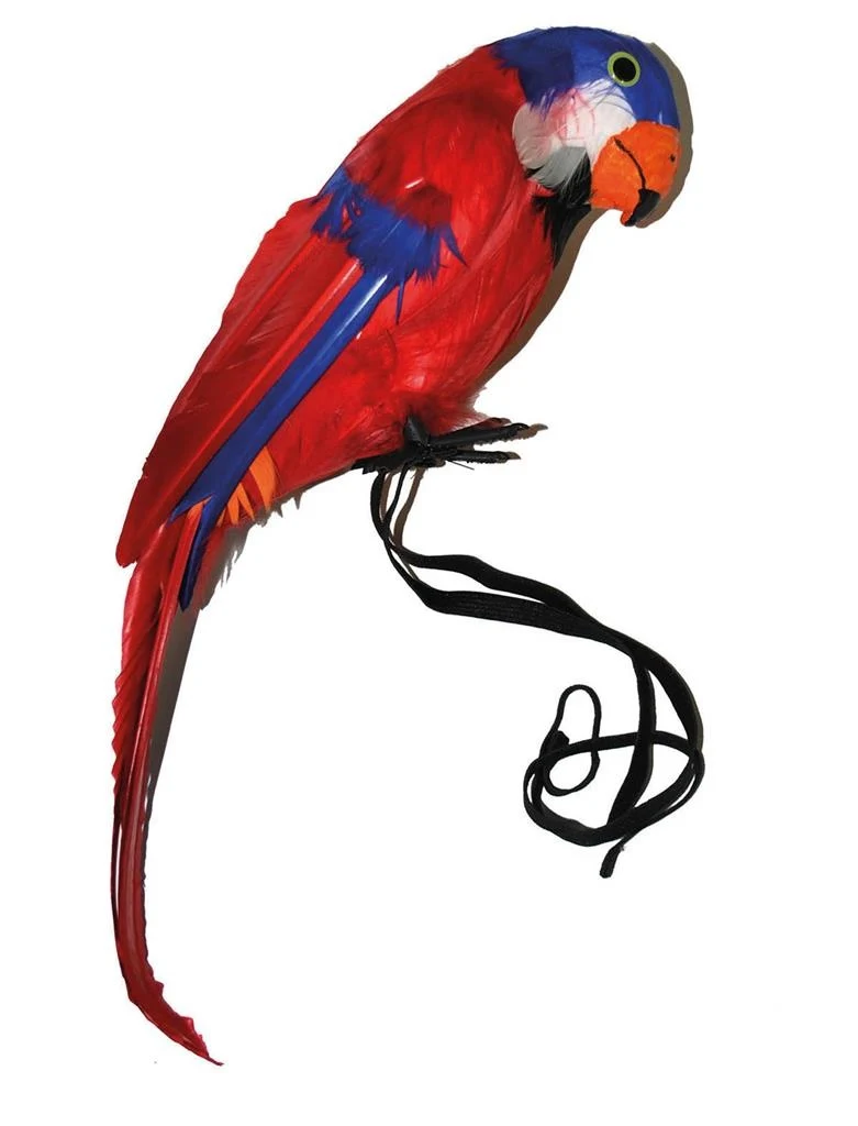 Papegaai decoratief rood