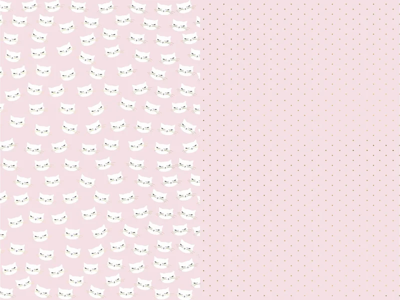 Set 2 rollen Inpakpapier Cat Bibi