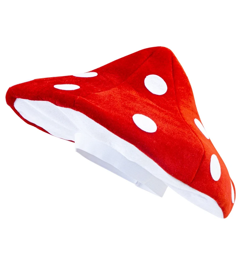 Paddestoelen muts kabouter