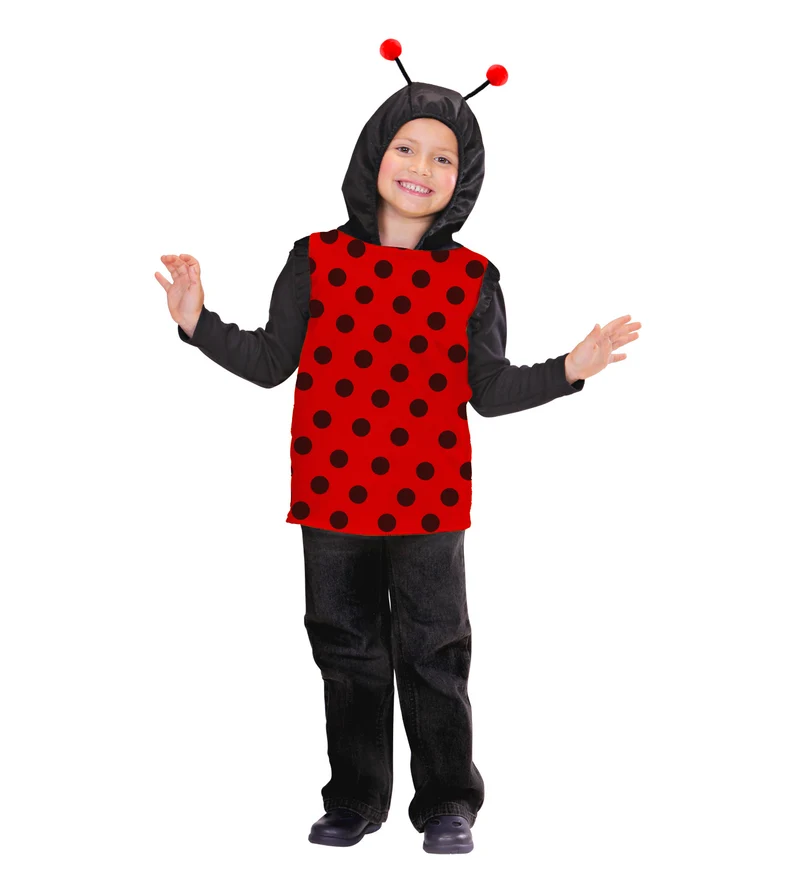 Lieveheersbeestje pak kind Romy