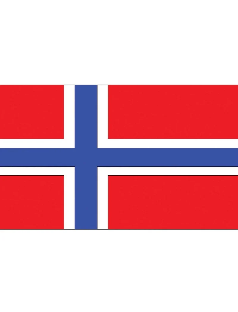 Vlag Noorwegen - 90x150 cm