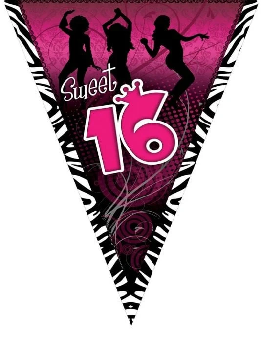 Vlaggenlijn Sweet 16 Roze - 5m