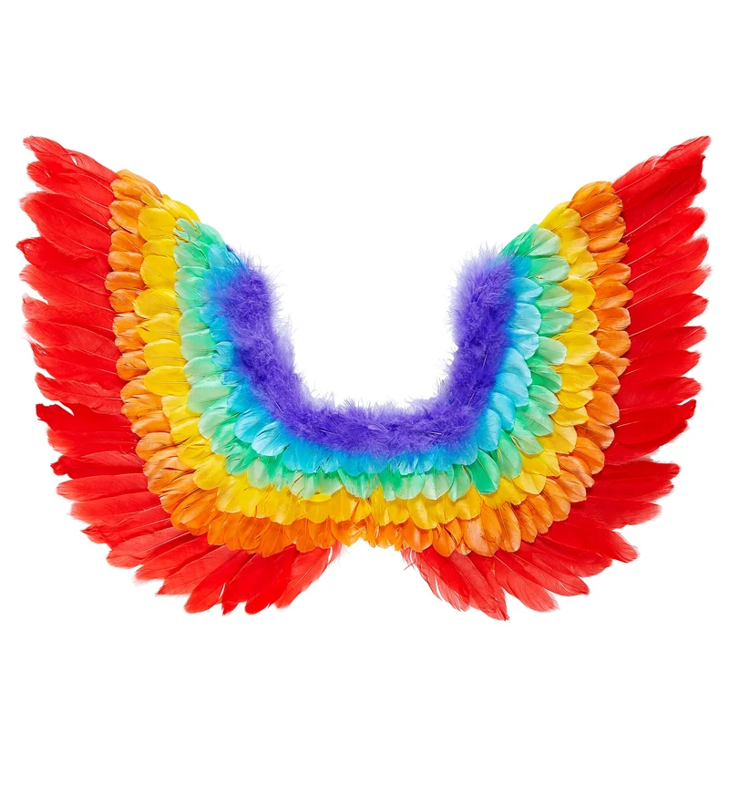 Vleugels regenboog