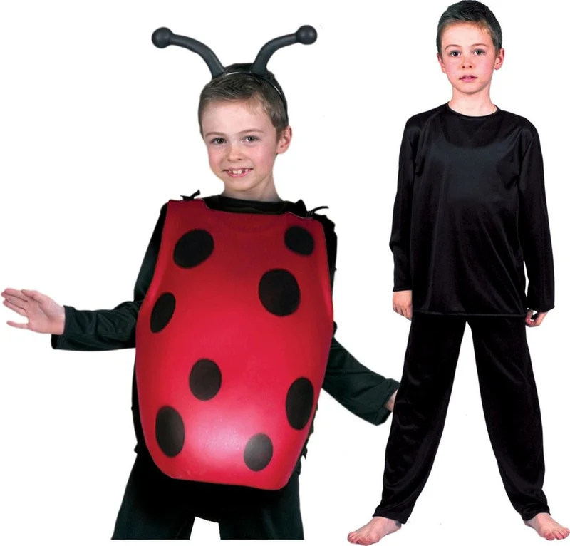 Lieveheersbeestjes pak voor kids