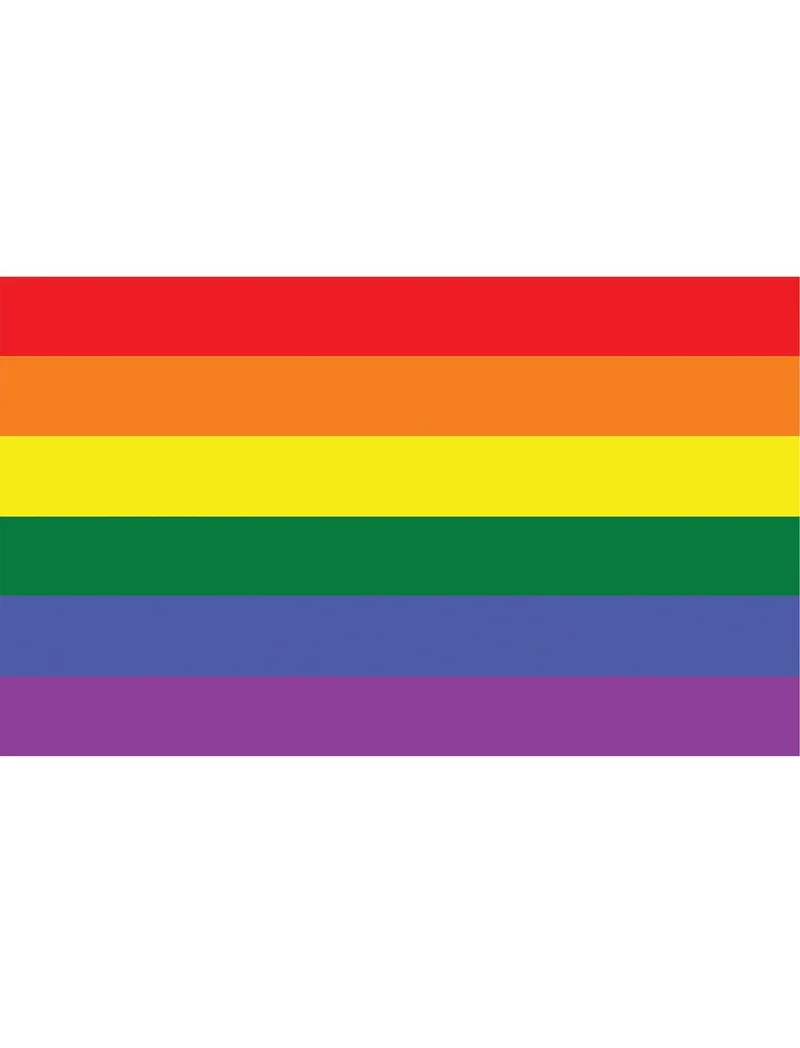 Regenboog vlag 90x150cm