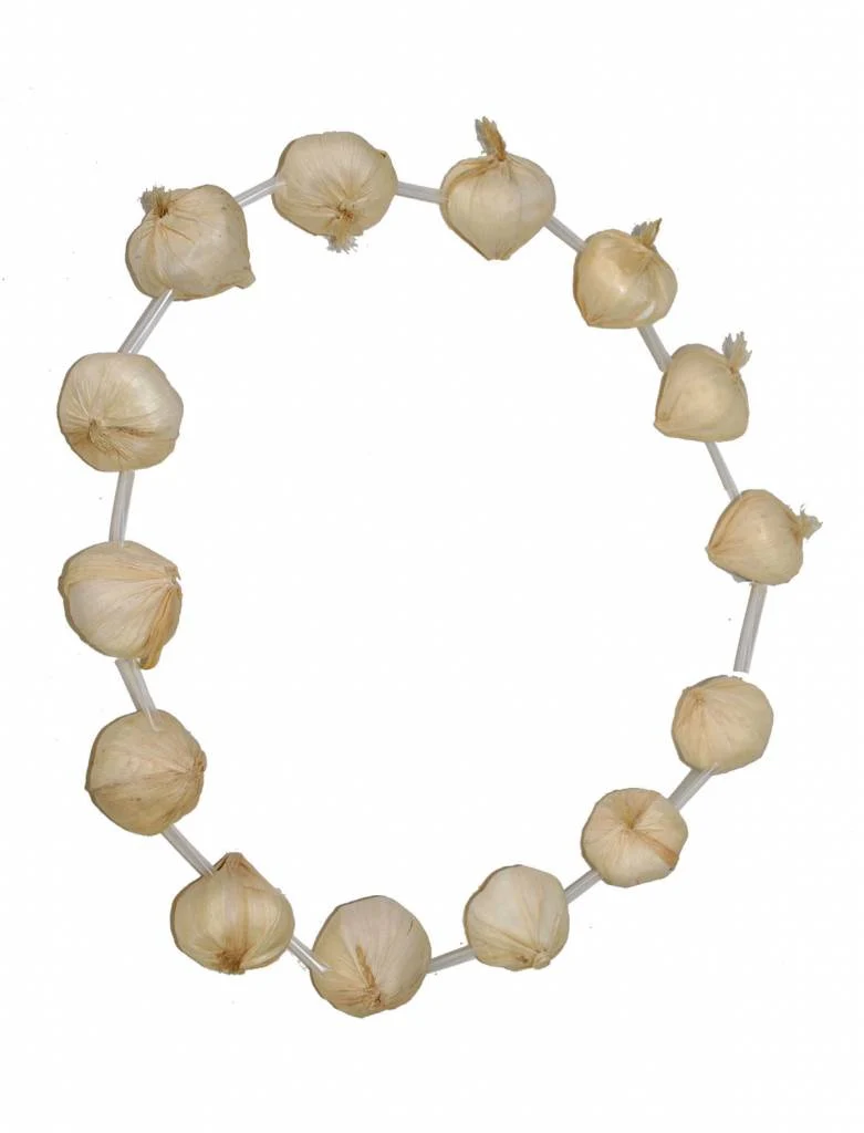 Halsketting met knoflook
