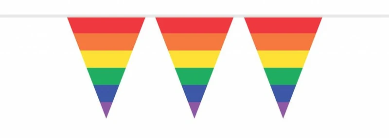 Vlaggenlijn regenboog 10 m
