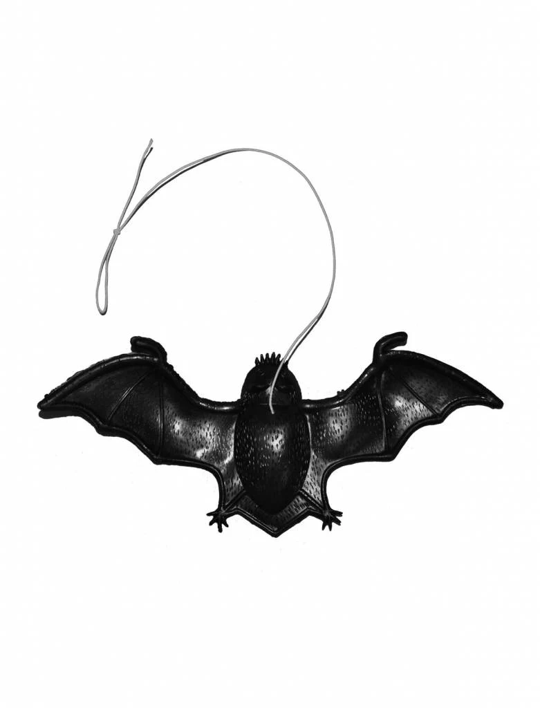 Vleermuis set voor Halloween