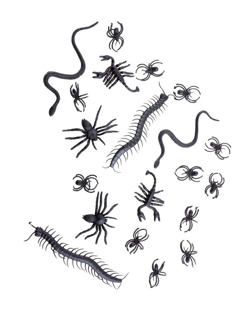 Insecten collectie Halloween