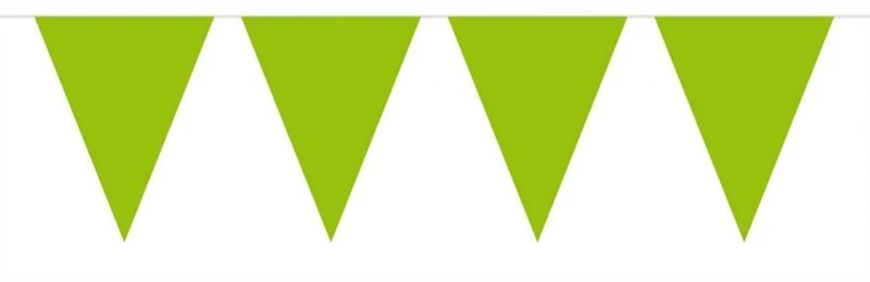 Groene Mini Vlaggenlijn - 3 meter