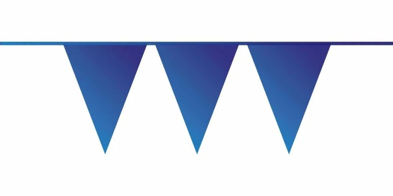 Blauwe vlaggenlijn 10 meter