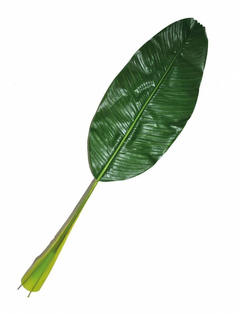 Bananenblad jungle 90cm