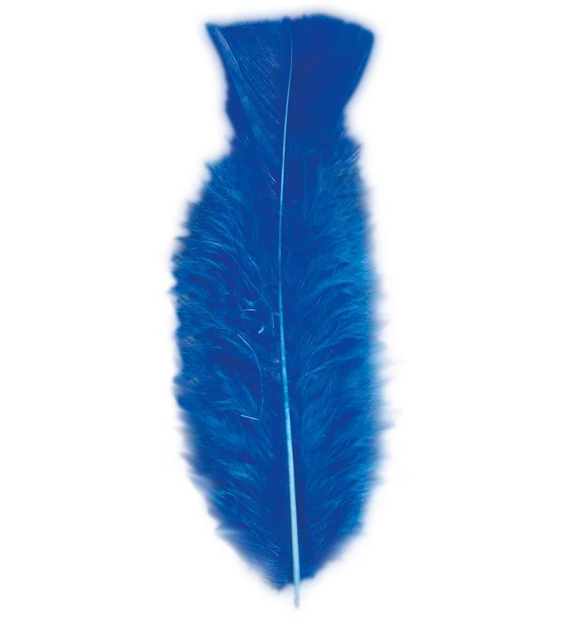 zakje met 50 veertjes blauw