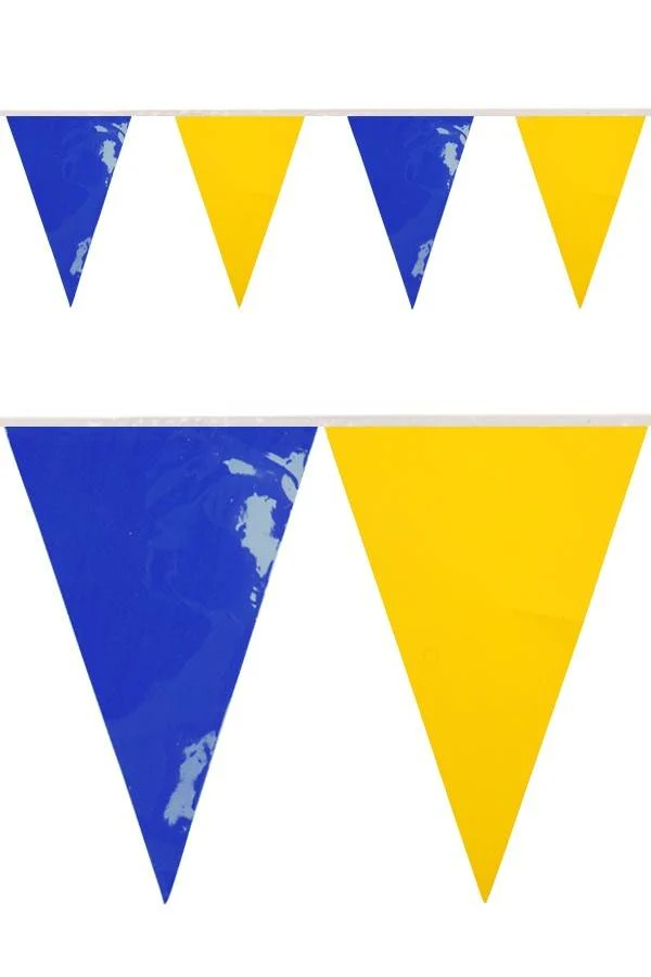 PVC vlaggenlijn blauw/geel 10 meter