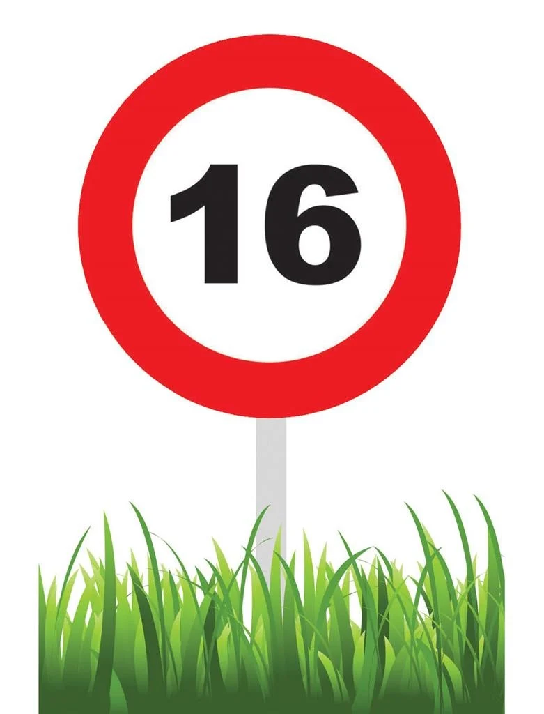 Party tuinbord 16 jaar