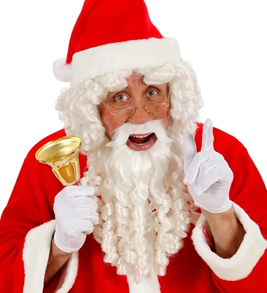 Kerstman pruik met baard luxe