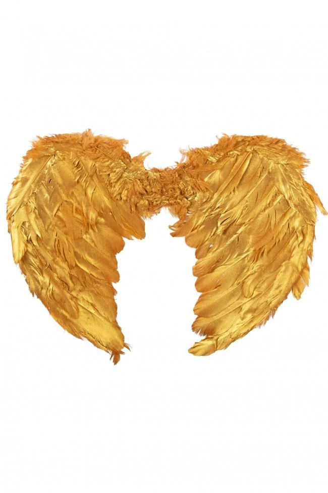 Engelen vleugels goud veren