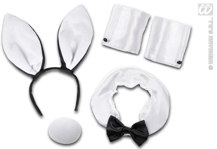 Sexy Bunny set