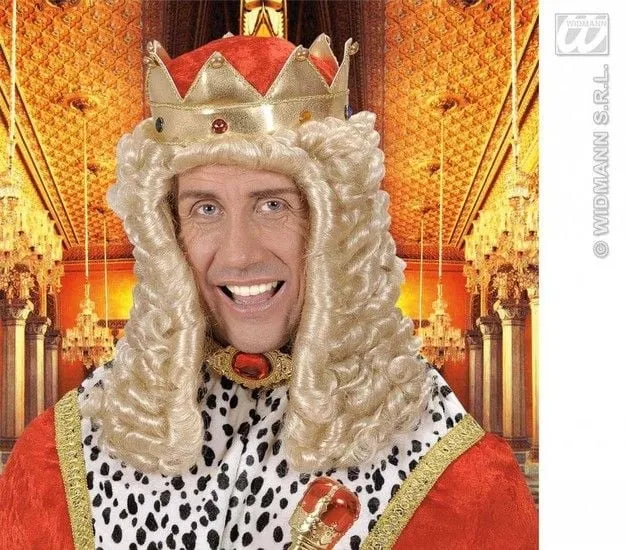 Pruik koning Louis 14e