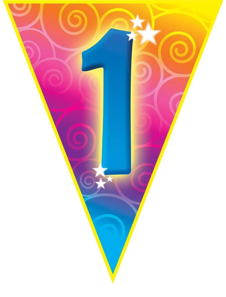 Gekleurde vlaggenlijn 1 jaar 5mtr.