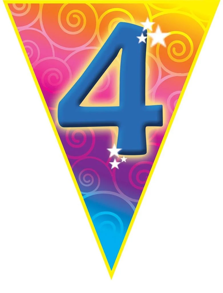 Gekleurde vlaggenlijn 4 jaar 5mtr.