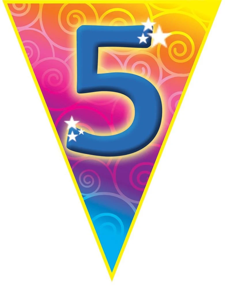 Gekleurde vlaggenlijn 5 jaar 5mtr.