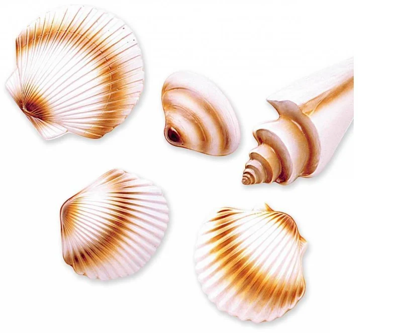 Schelpen decoratie hawaii pvc