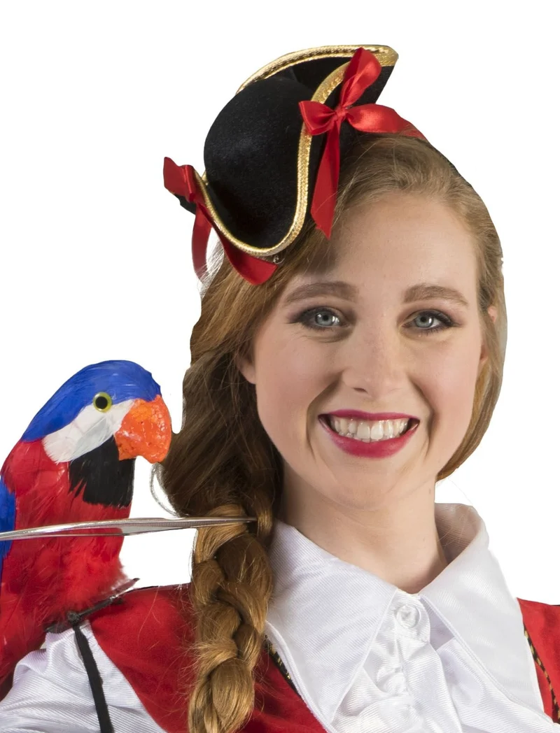 Mini piratenhoed Bo
