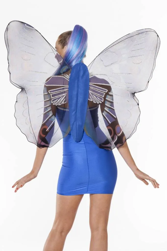 Vlindervleugels volwassen blauw