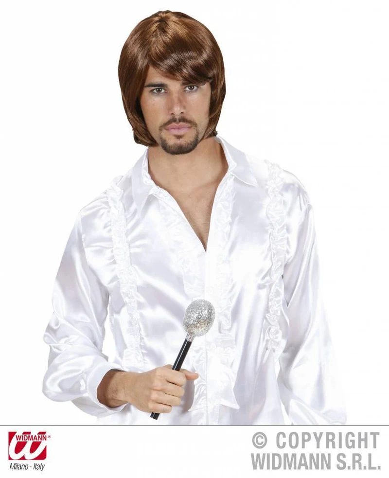 Pruik Popster 70's Bjorn