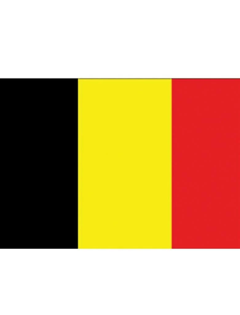 Vlag XL 436x350cm België