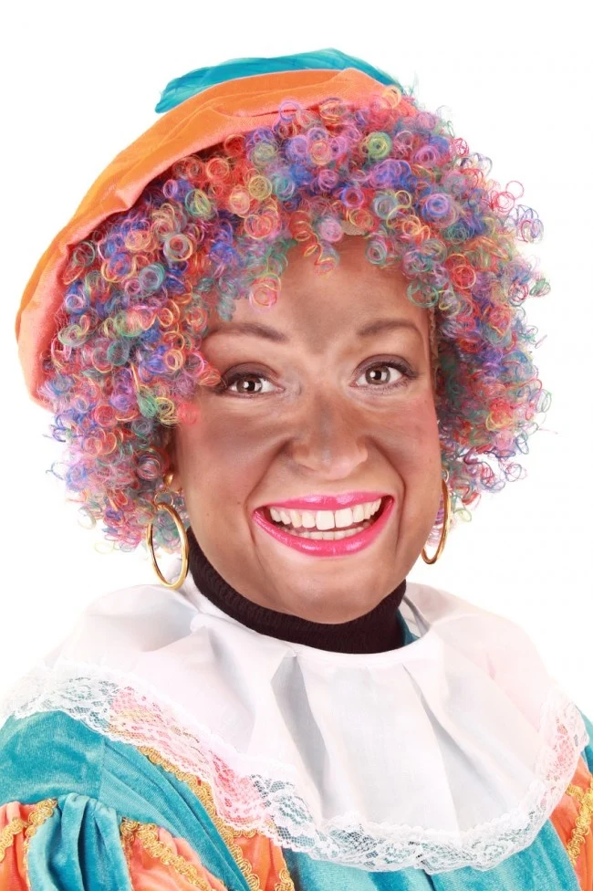 Pieten pruik afro verstelbaar regenboog