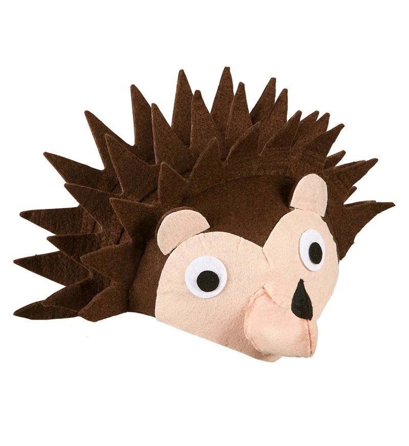Egel hoedje kinderen