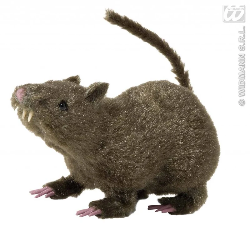 Harige rat 21cm