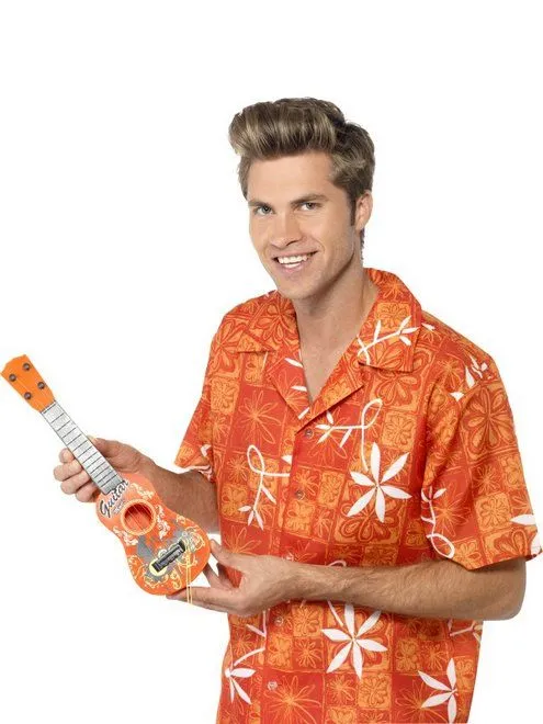 Hawaiiaanse mini gitaar