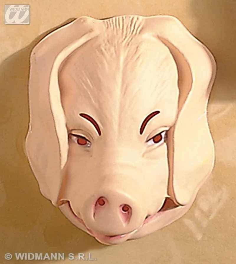 Plastic masker varken